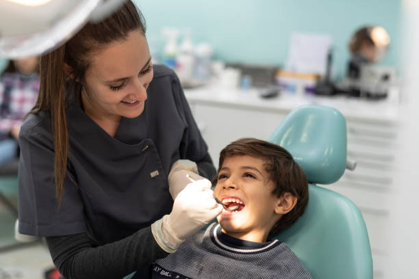 Best Emergency Dental Services for Seniors in West Lawn, PA
